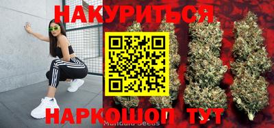 гидропоника Пушкино