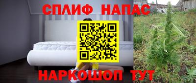 МДПВ Пенза