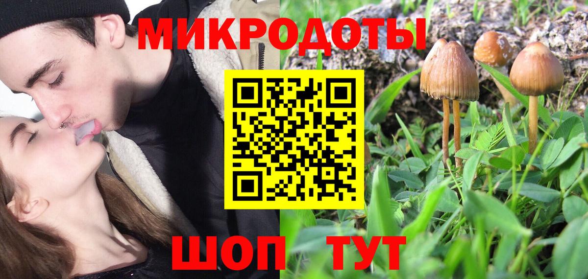 дарнет шоп  Галлюциногенные грибы MAGIC MUSHROOMS  Вход с VPN  Черкесск  Псилоцибиновые грибы MAGIC MUSHROOMS 